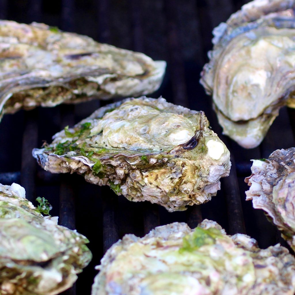 How to BBQ Oysters