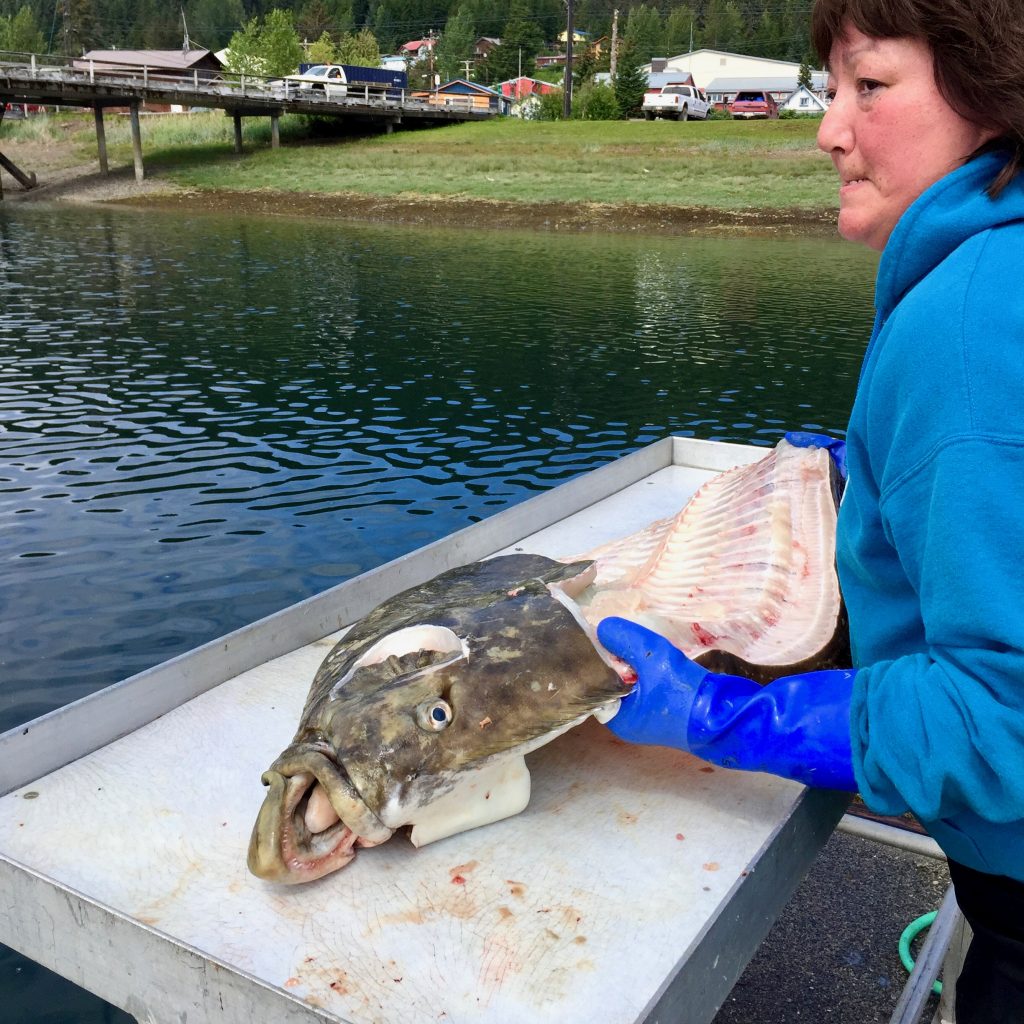 How to Fillet Alaskan Halibut