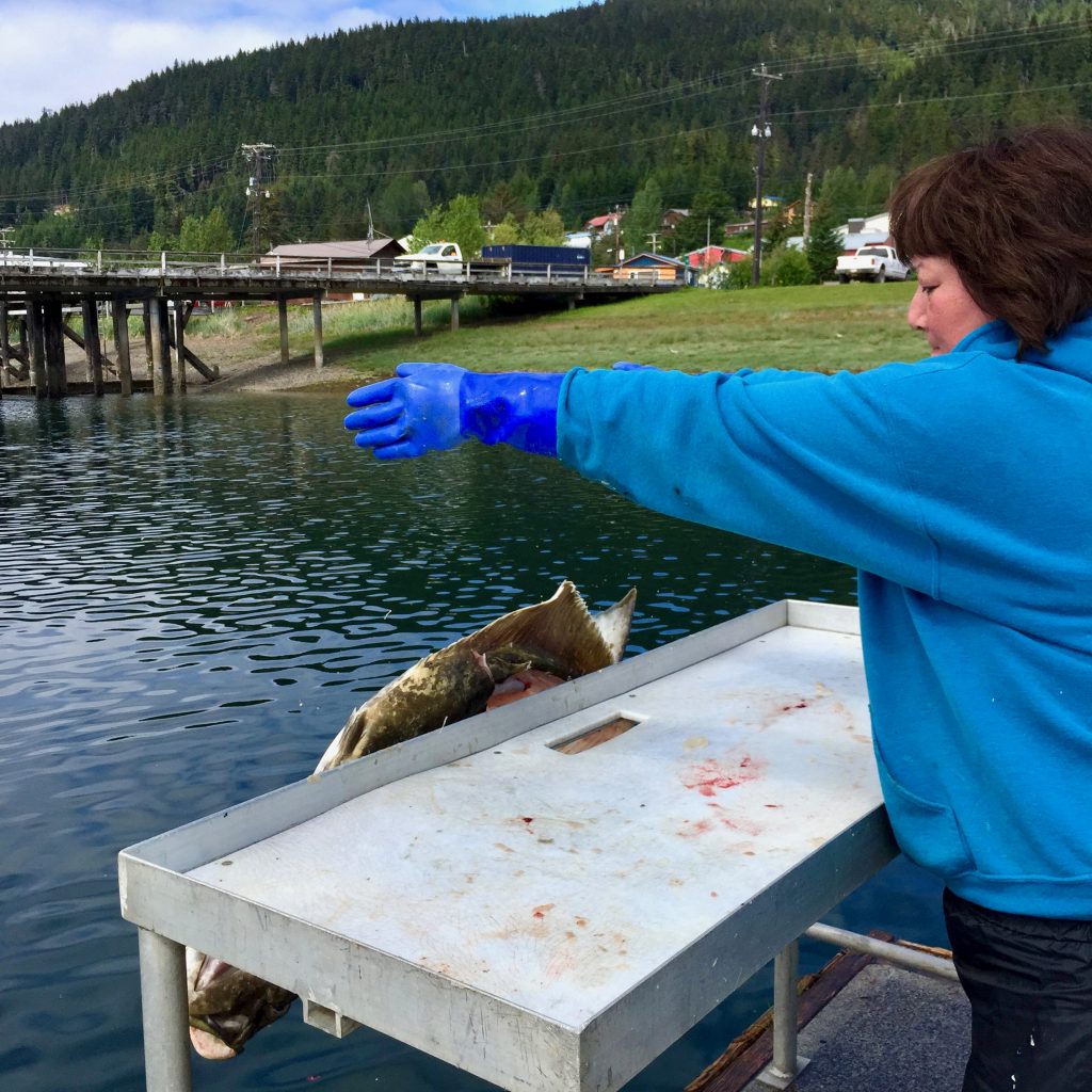 How to Fillet Alaskan Halibut